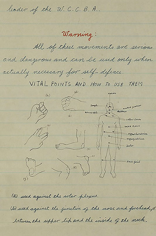 Сокровища Брюса Ли: редкие кадры из жизни легендарного мастера