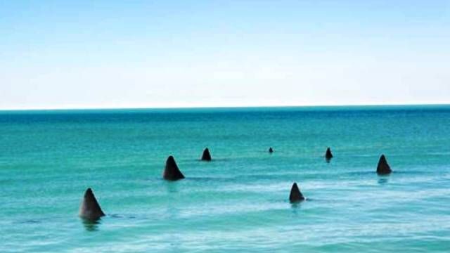 Самые глупые фобии