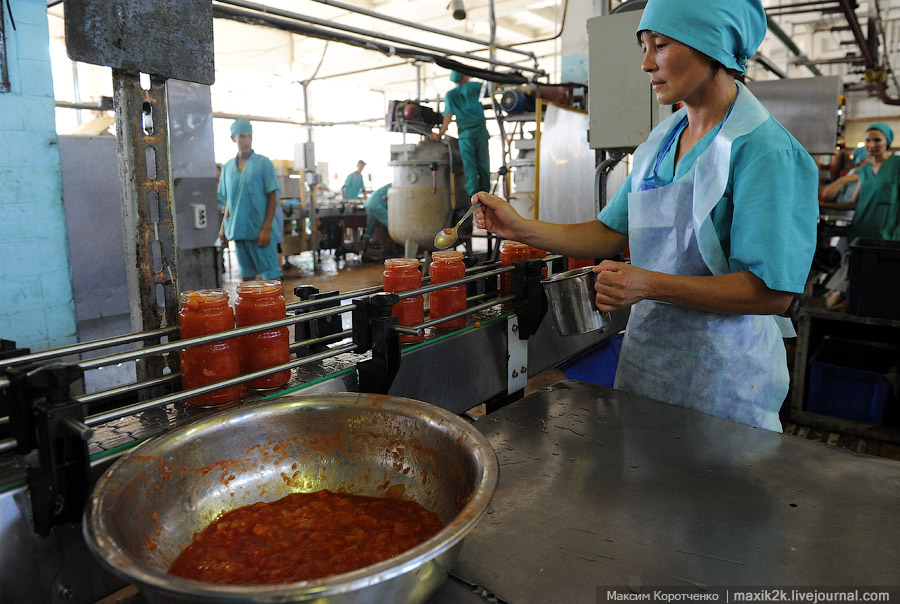 Как делают консервы (18 фото)