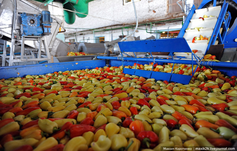 Как делают консервы (18 фото)