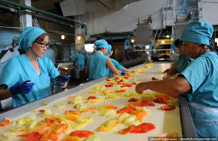 Как делают консервы (18 фото)