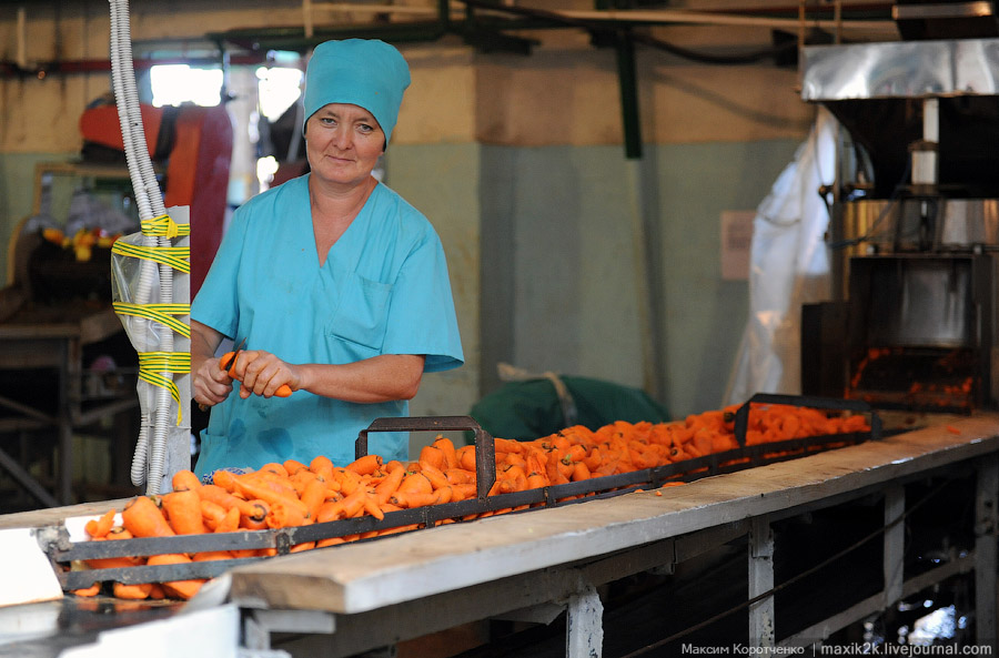 Как делают консервы (18 фото)