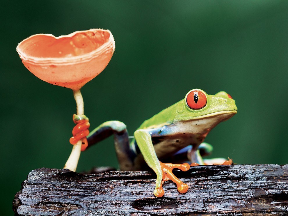 National Geographic: лучшие фотографии августа