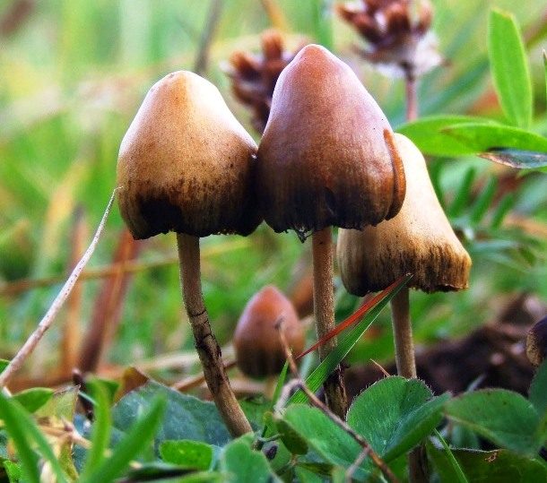 Самые удивительные религии мира Самые удивительные религии мира