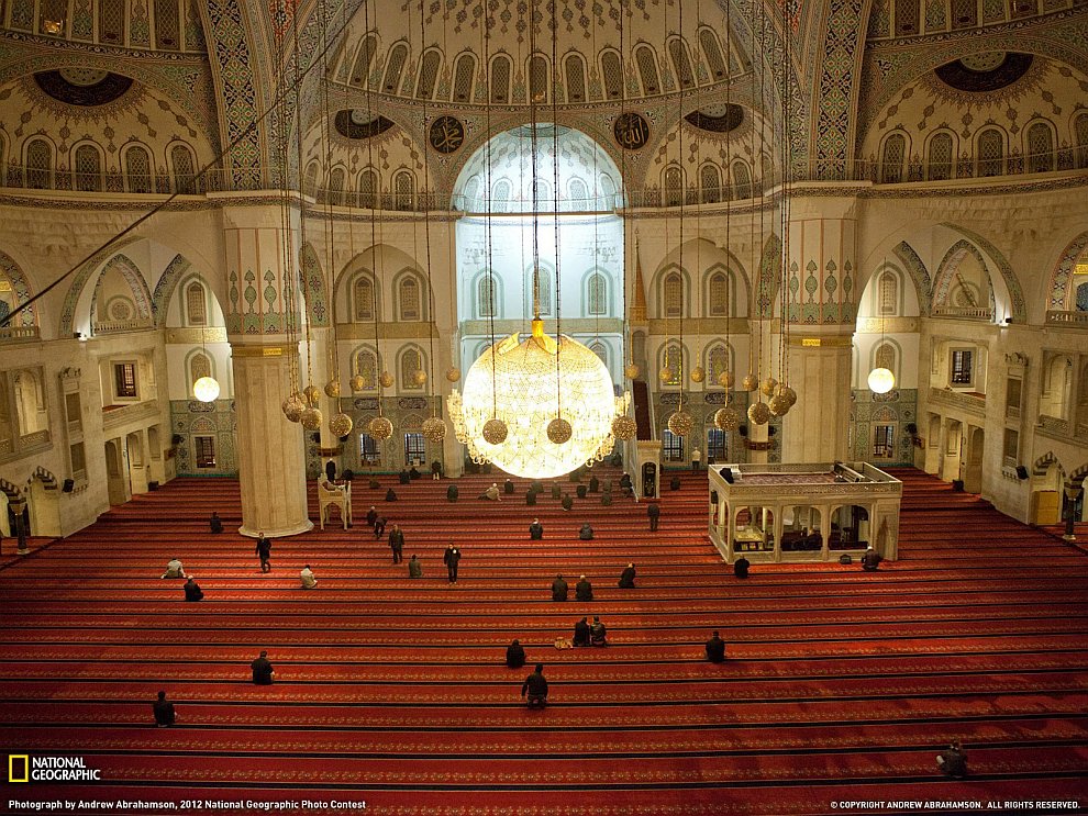 National Geographic: лучшие фотографии ноября