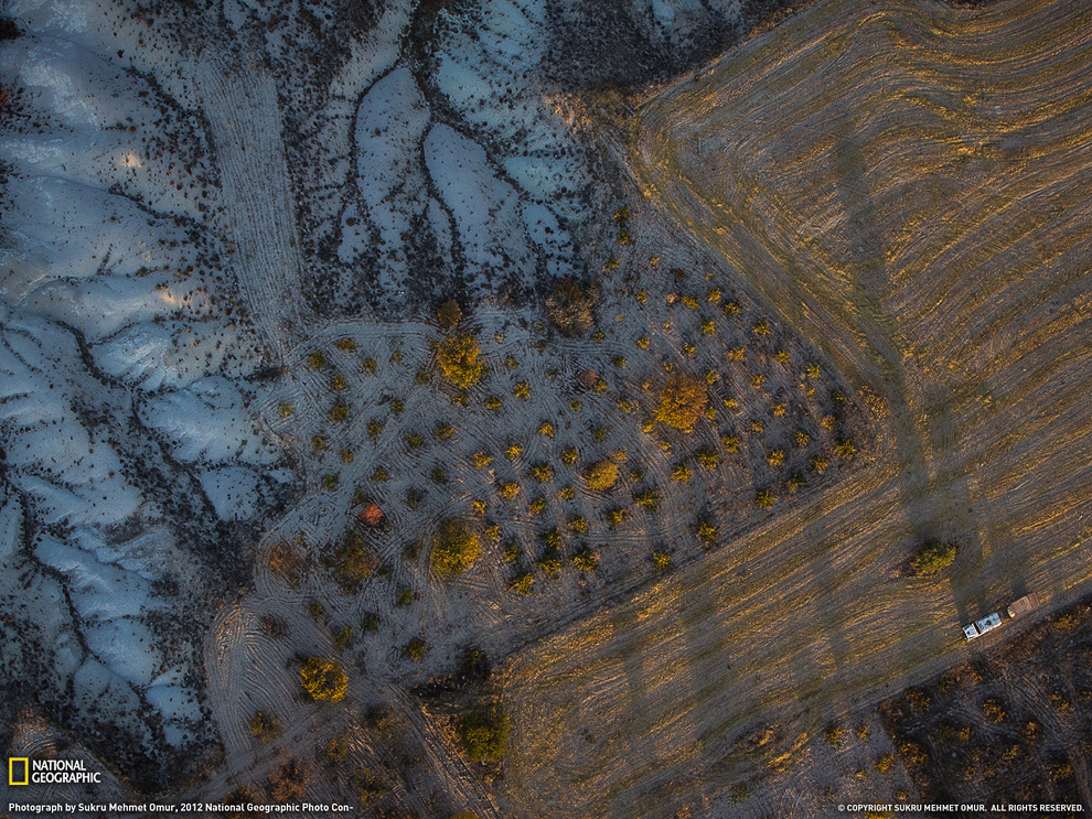 National Geographic: лучшие фотографии ноября