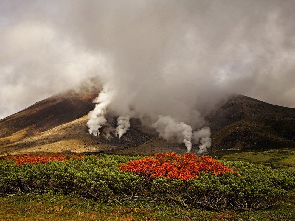 National Geographic: лучшие фотографии ноября