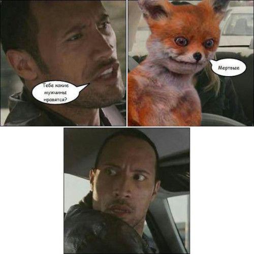 Прикольные картинки