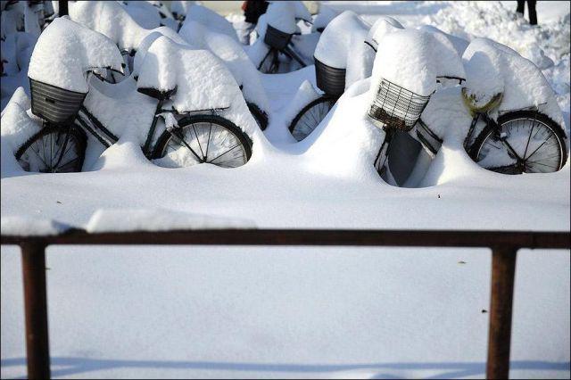 Прикольные картинки