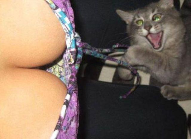 Прикольные картинки