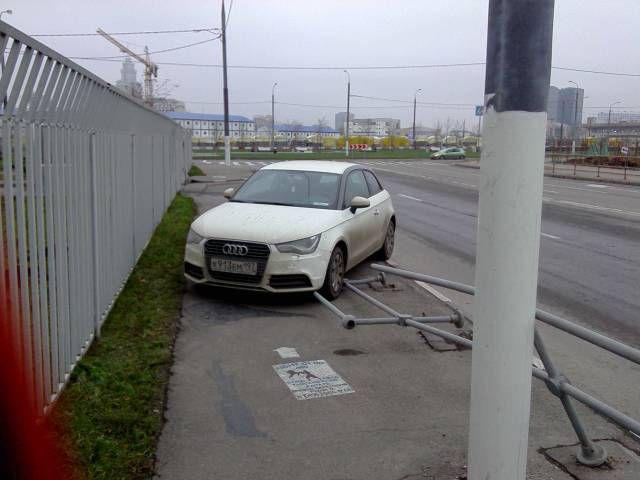 Прикольные картинки