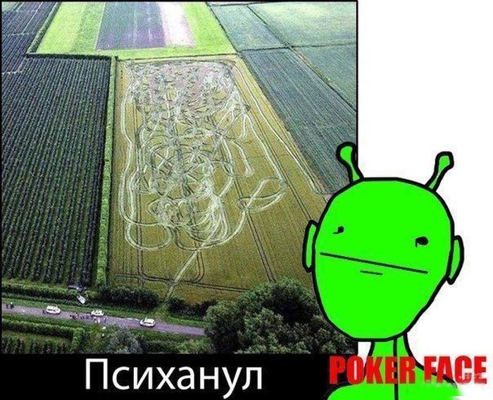 Психанул)) (40 картинок)