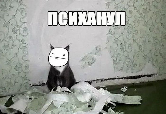 Психанул)) (40 картинок)