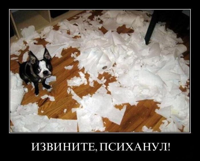 Психанул)) (40 картинок)