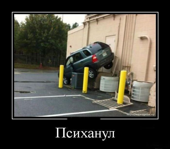 Психанул)) (40 картинок)