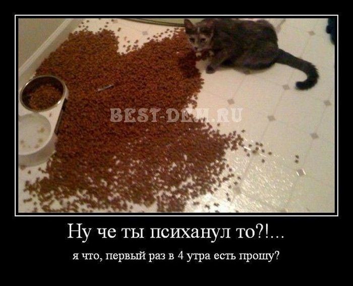 Психанул)) (40 картинок)