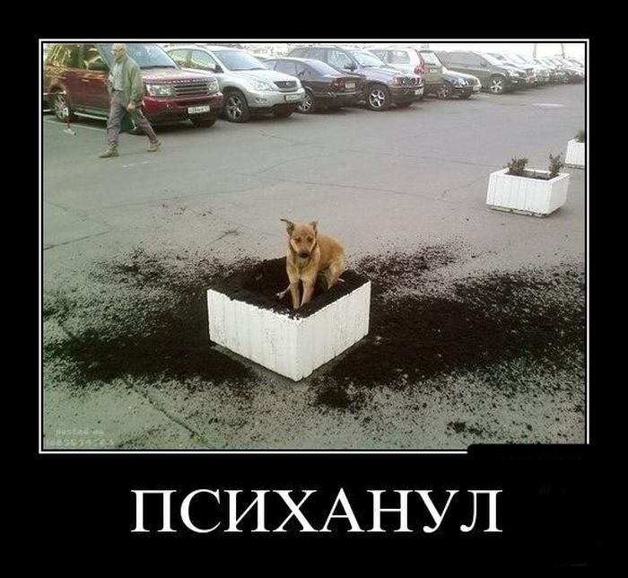 Психанул)) (40 картинок)