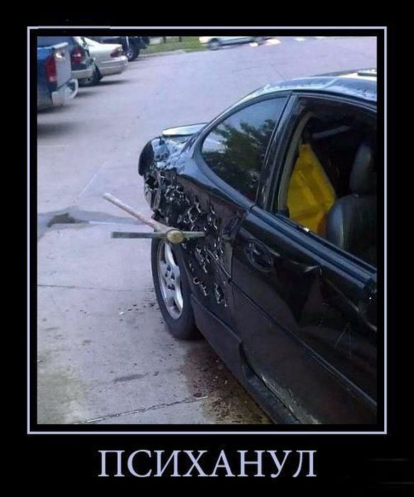 Психанул)) (40 картинок)