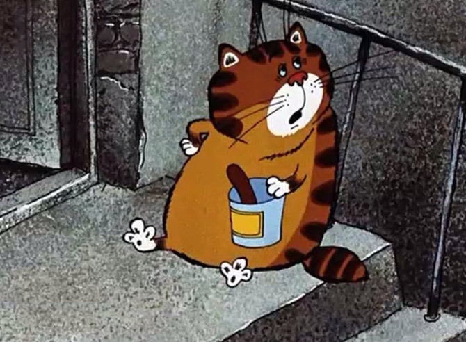 Интересные факты о кошках Интересные факты о кошках