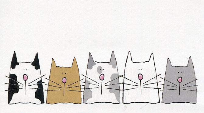 Интересные факты о кошках Интересные факты о кошках