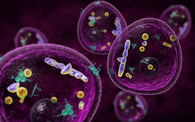 Как выглядел Марс 4 миллиарда лет назад?