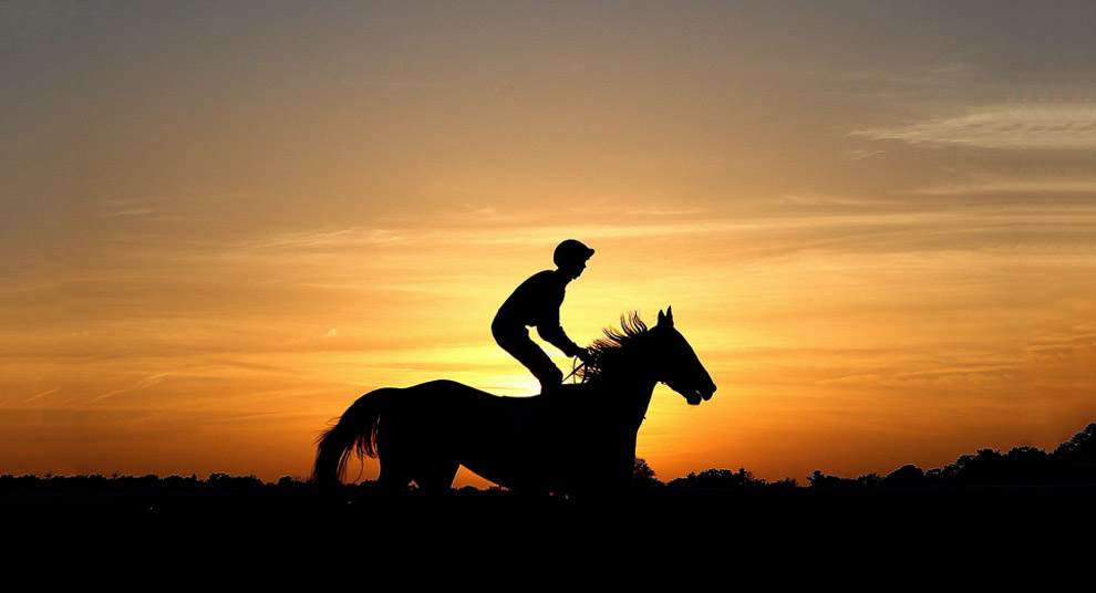 Животные в фотографиях Животные в фотографиях