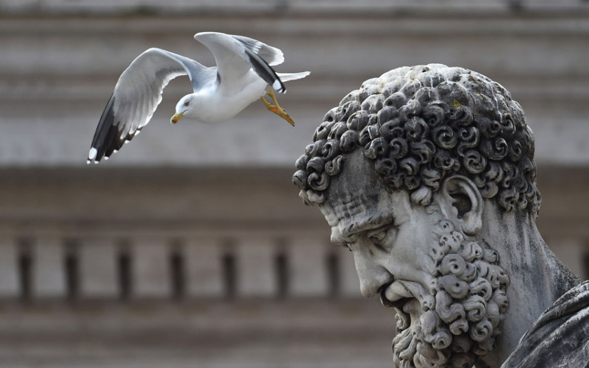 Животные в фотографиях Животные в фотографиях