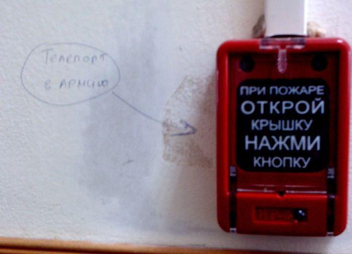 Прикольные картинки