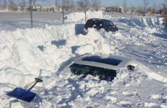 Прикольные картинки