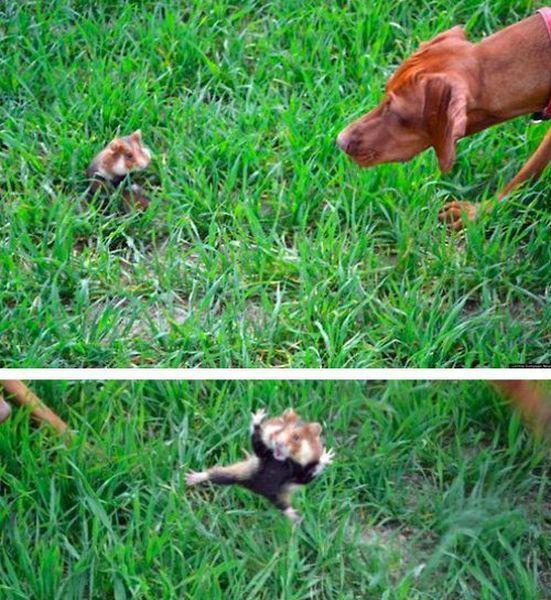 Прикольные картинки