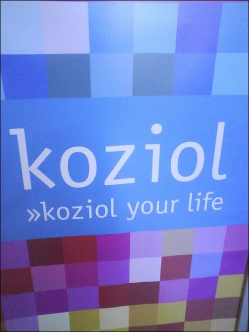 Нецензурные бренды