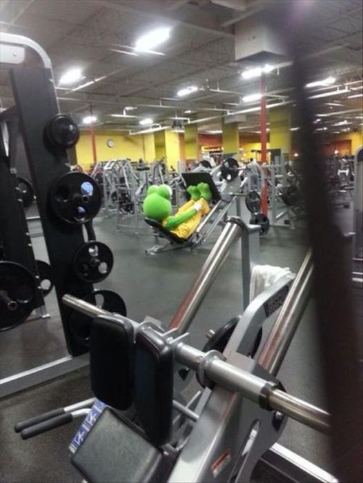 Прикольные картинки