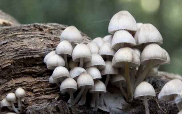 Истины, которые опровергли