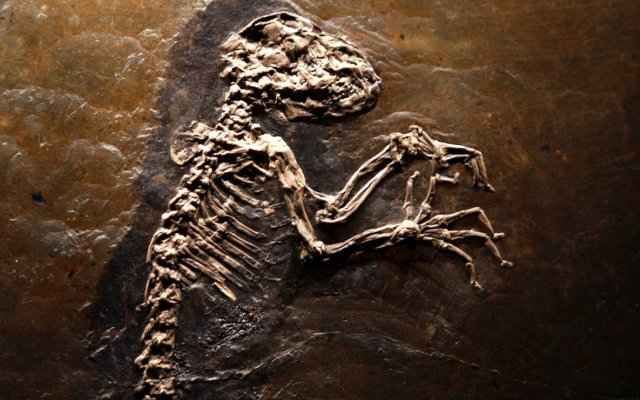 Истины, которые опровергли