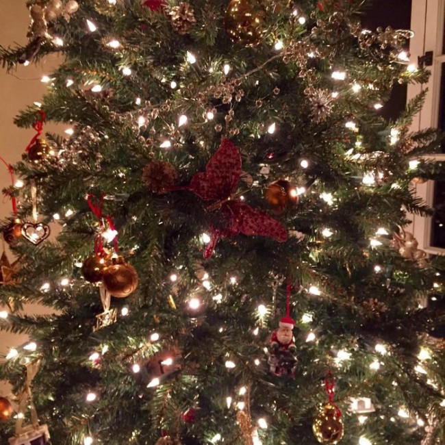 Как зарубежные звезды отмечали Рождество