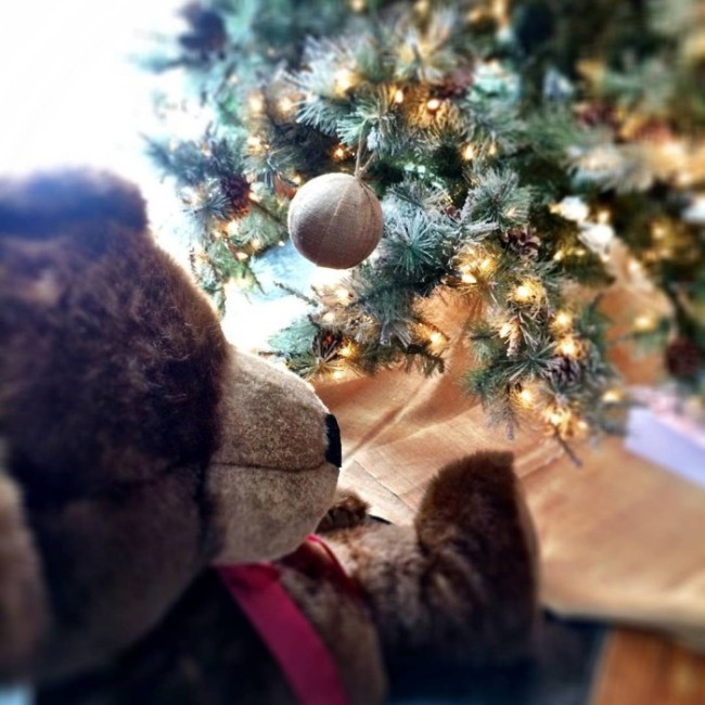 Как зарубежные звезды отмечали Рождество