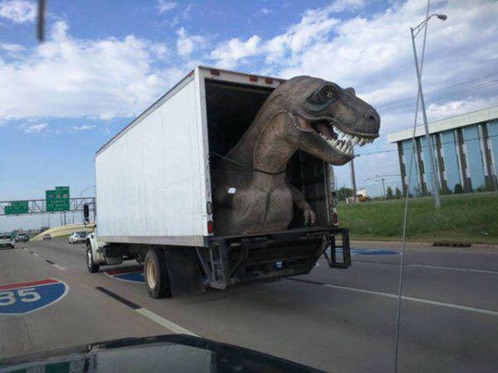 Свежая порция автоприколов