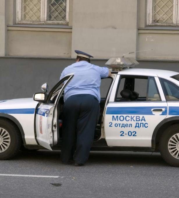 Свежая порция автоприколов