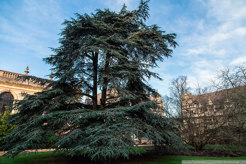 Прогулка по Оксфорду