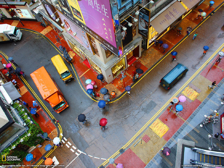 National Geographic: лучшие фотографии января