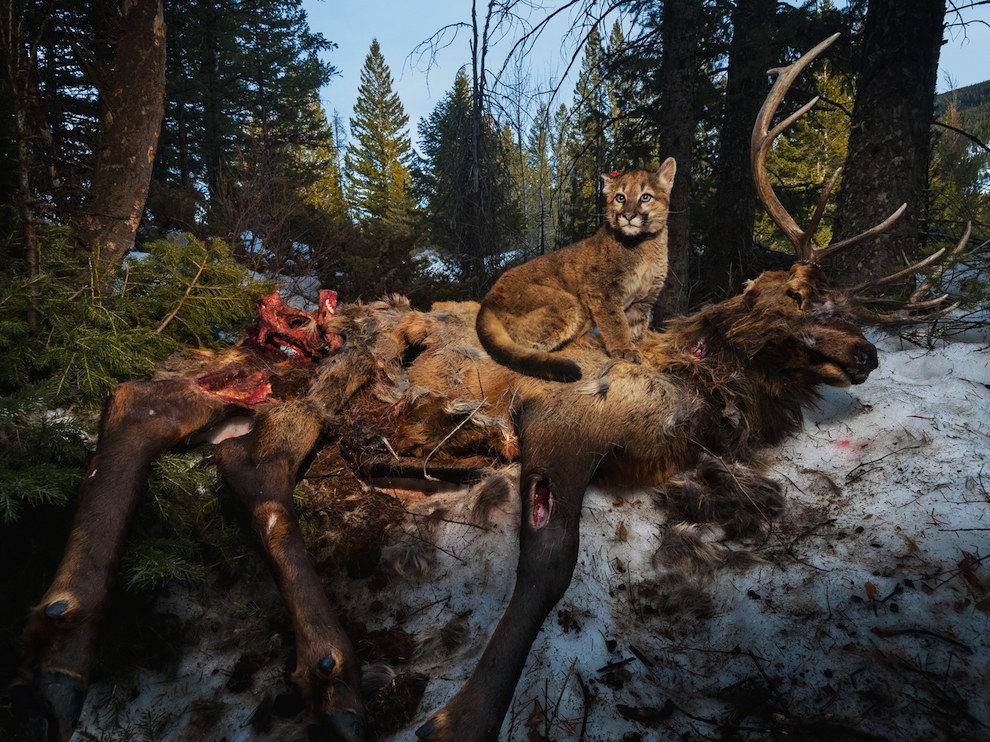 National Geographic: лучшие фотографии января