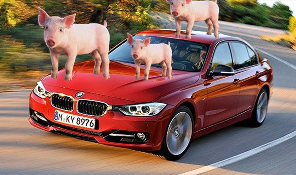 Самые нелепые исследования в науке (23 фото) Самые нелепые исследования в науке (23 фото)