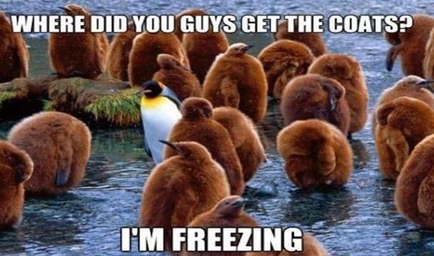 Самые нелепые исследования в науке (23 фото) Самые нелепые исследования в науке (23 фото)