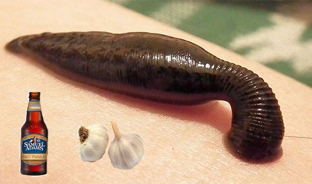 Самые нелепые исследования в науке (23 фото) Самые нелепые исследования в науке (23 фото)