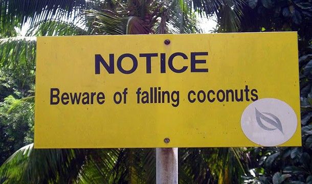 Самые нелепые исследования в науке (23 фото) Самые нелепые исследования в науке (23 фото)