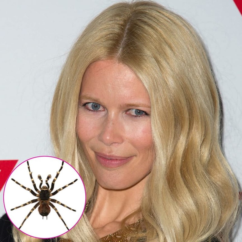 15 самых странных коллекций знаменитостей