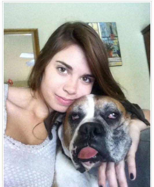 Эти смешные животные