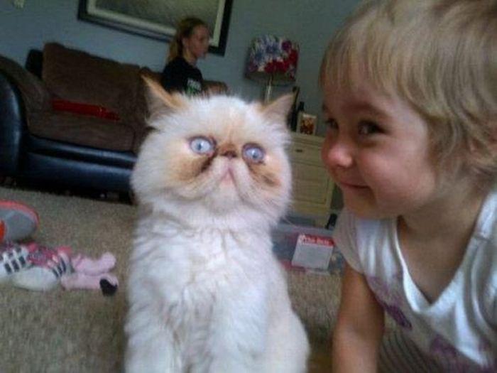 Эти смешные животные