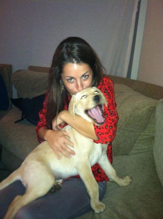 Эти смешные животные