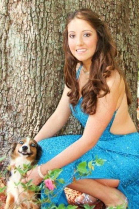 Эти смешные животные